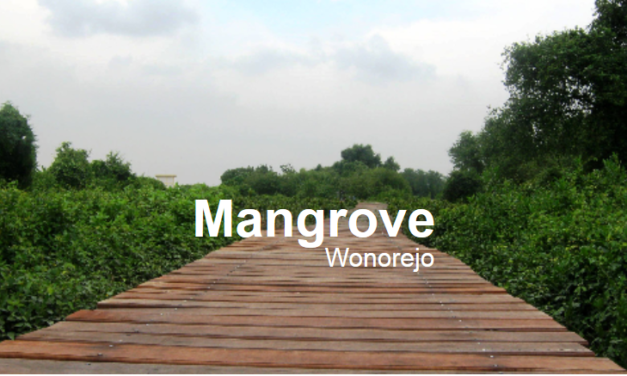 Jalan-Jalan Di Jogging Track Hutan Mangrove Wonorejo Surabaya