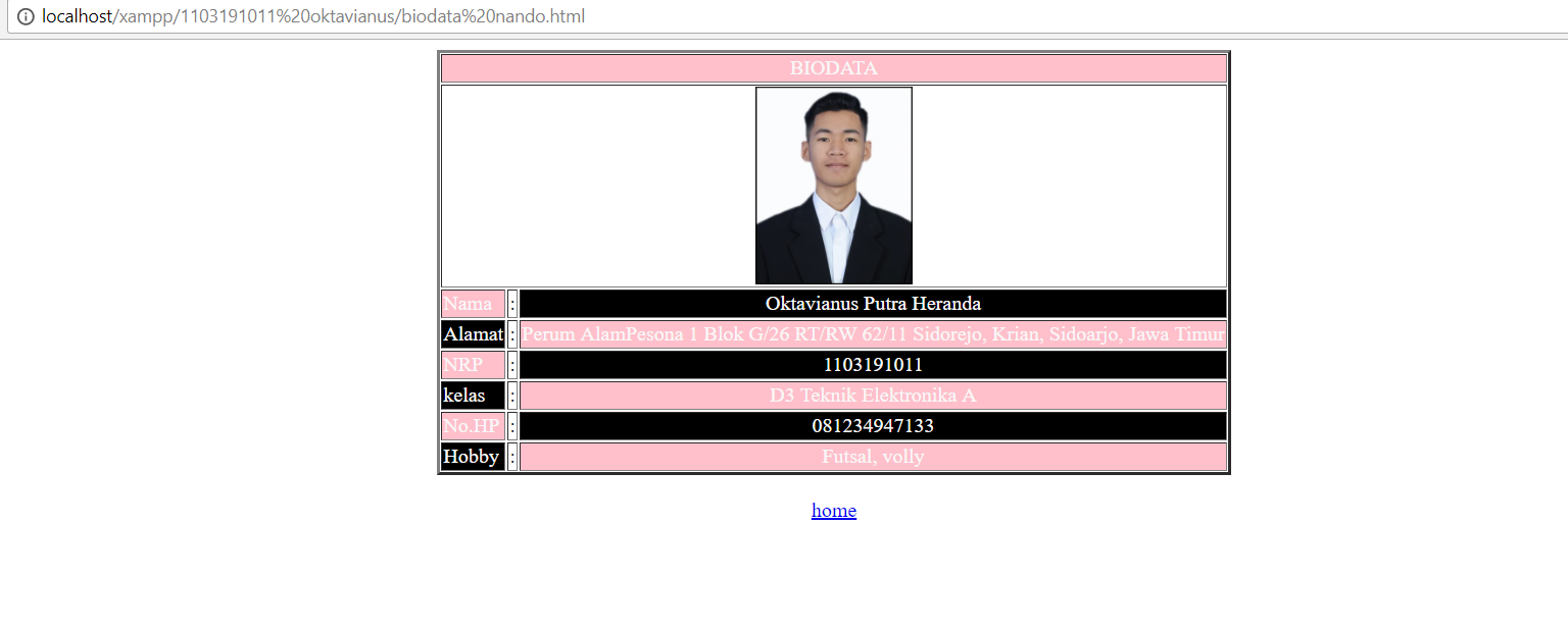 how to make bio and list in html - Redaksiana