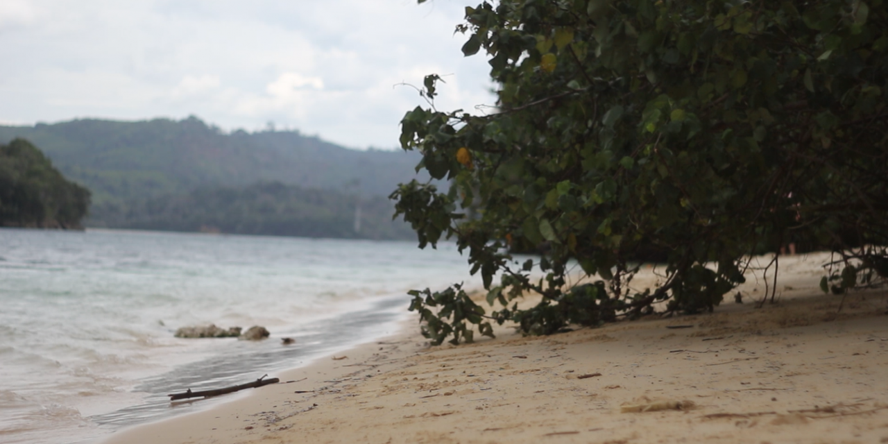 Pantai Waru-Waru Surga Tersembunyi di Pulau Sempu Malang