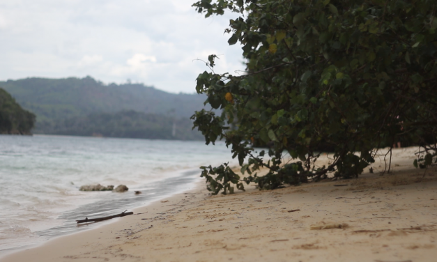 Pantai Waru-Waru Surga Tersembunyi di Pulau Sempu Malang