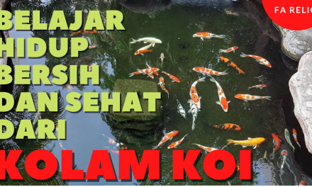 Ramadhan dan Filterisasi,“Belajar Hikmah”Hidup Bersih​ dan Sehat​ dari Kolam​ Koi