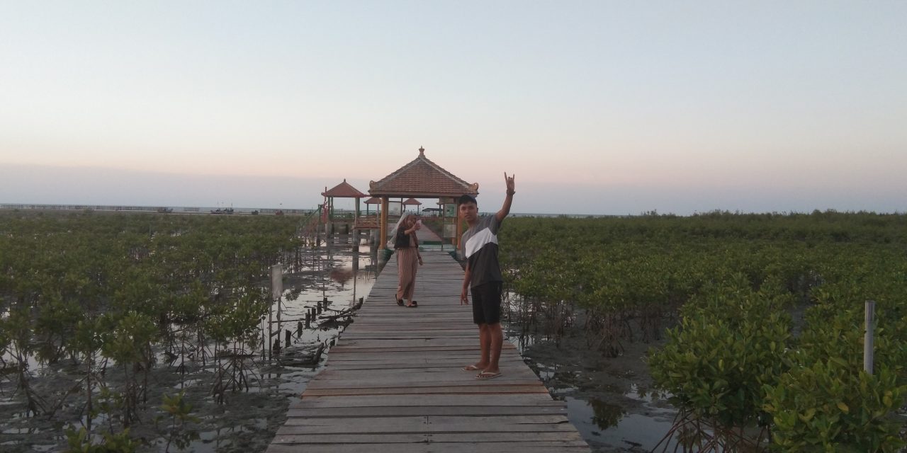 Liburan di Pantai Jembatan Merah Pantai Hutan Mangrove Rembang, Jawa Tengah