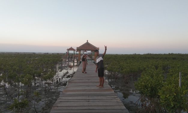 Liburan di Pantai Jembatan Merah Pantai Hutan Mangrove Rembang, Jawa Tengah